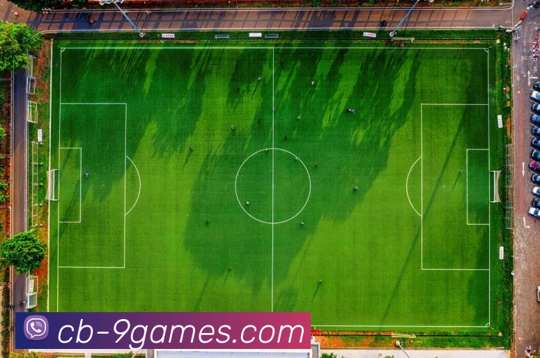 AG九游会官网APP 封面图